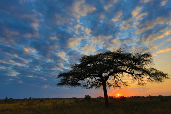 Tanzanie - cestovatelská beseda s Tomášem Kubešem 