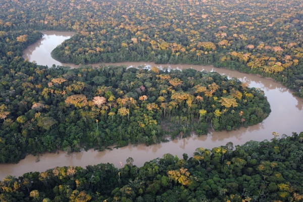 Tomáš Kubeš: Amazonie