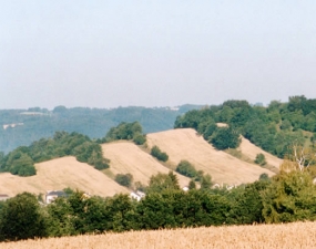 Panoramatické fotografie