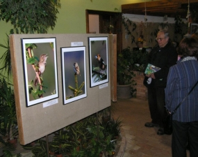 2012-04-12 - Vernisáž Výstavy fotografií Petra Šaje