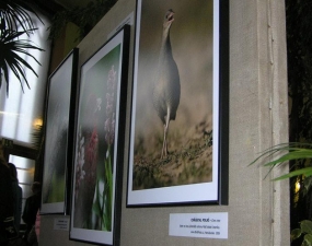 2012-04-12 - Vernisáž Výstavy fotografií Petra Šaje