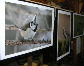 2012-04-12 - Vernisáž Výstavy fotografií Petra Šaje