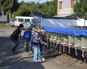 2012-09-22 - 09-23 - Soutěžní Podpradědská výstava