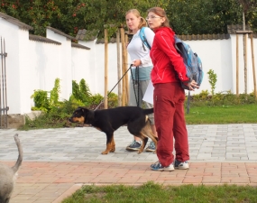 2016-09-03 - Výšlap za bludovským špekáčkem