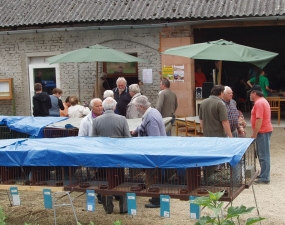 2015-06-27 - 06-28 - Výstava drobného domácího zvířectva