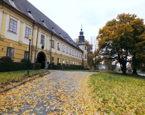 Zámek s přilehlým přírodním parkem Gryngle a oranžérií