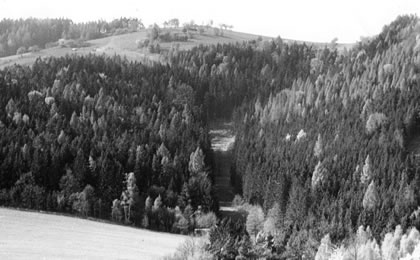 Pohled na Radmilovský kříž z roku 1920.