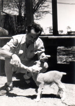 Australia, Queensland; From December 1951 to June 1952. Cloncurry Council Area, The Ardmore sheep station in Dajarra.