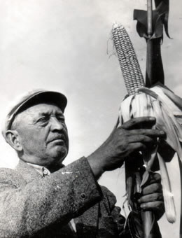 Czechoslovakia, Ivanka pri Dunaji, September 1961. Karel´s older brother (1901- 1979) agronomist Antonin Hlasny; there he received Medal “Work Order” (May 1961) from the former prime minister Viliam Siroky; about the highest corn harvest in Czechoslovakia. However, after “Nacvalac espionage scandal”, Antonin Hlasny agronomist job was finished to the end of 1961.