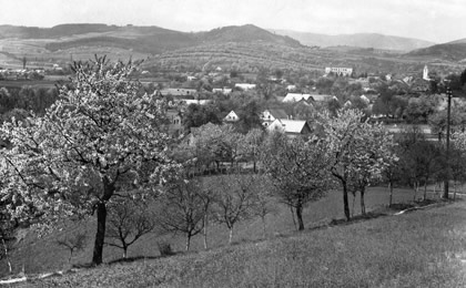 Pohled z Brusné na tzv. Učitelův vrch – všimněme si spousty ovocných alejí, dnes již vesměs zaniklých
